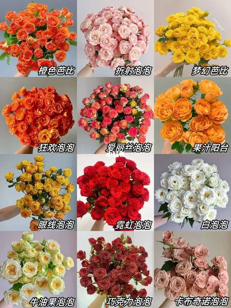 鲜花 多头玫瑰 新疆直发 花店批发新鲜 养护简单