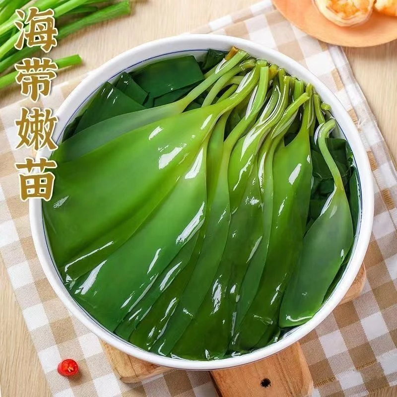 霞浦盐渍海带苗裙带菜新鲜脆嫩小海带芽福建宁德特产500g/包脆爽