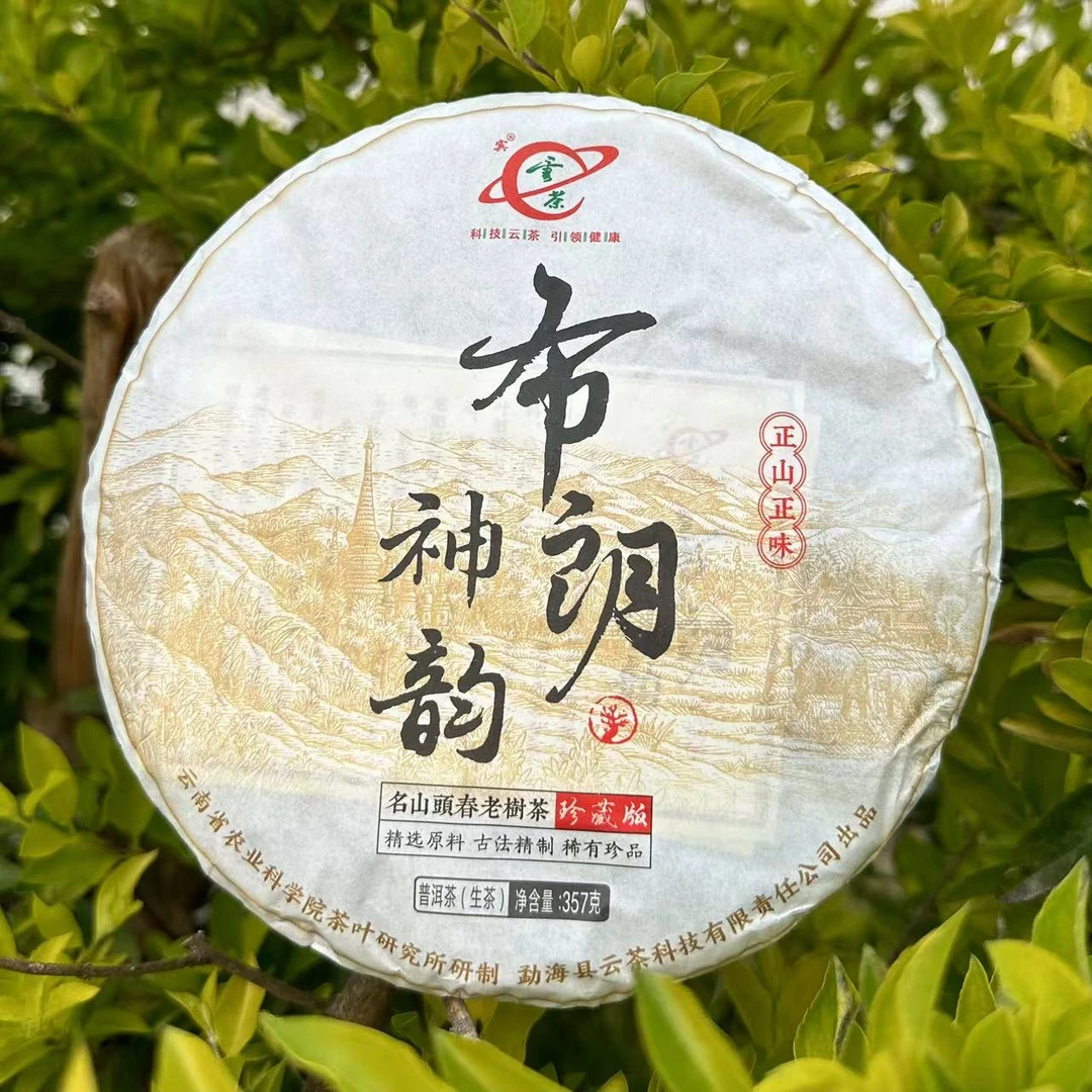 R-[云茶] 名山头春老树茶 布朗神韵 普洱茶（生茶）357g/饼