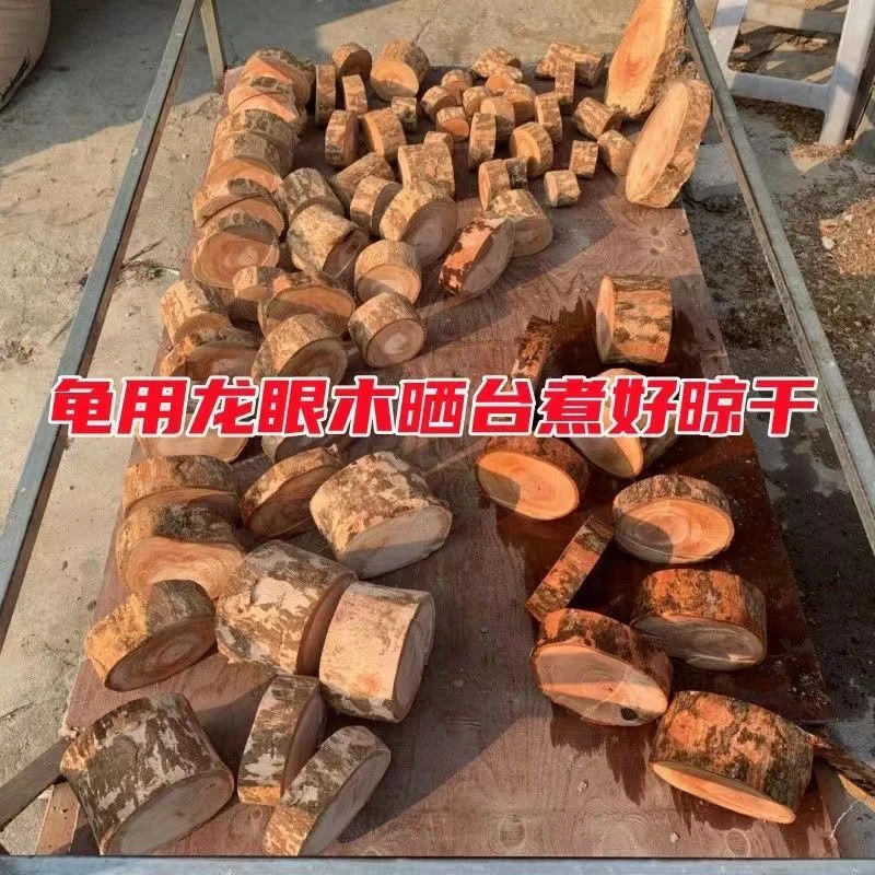 沉木已煮好乌龟龙眼木晒台爬坡台投喂台躲避台防治腐皮腐甲白眼