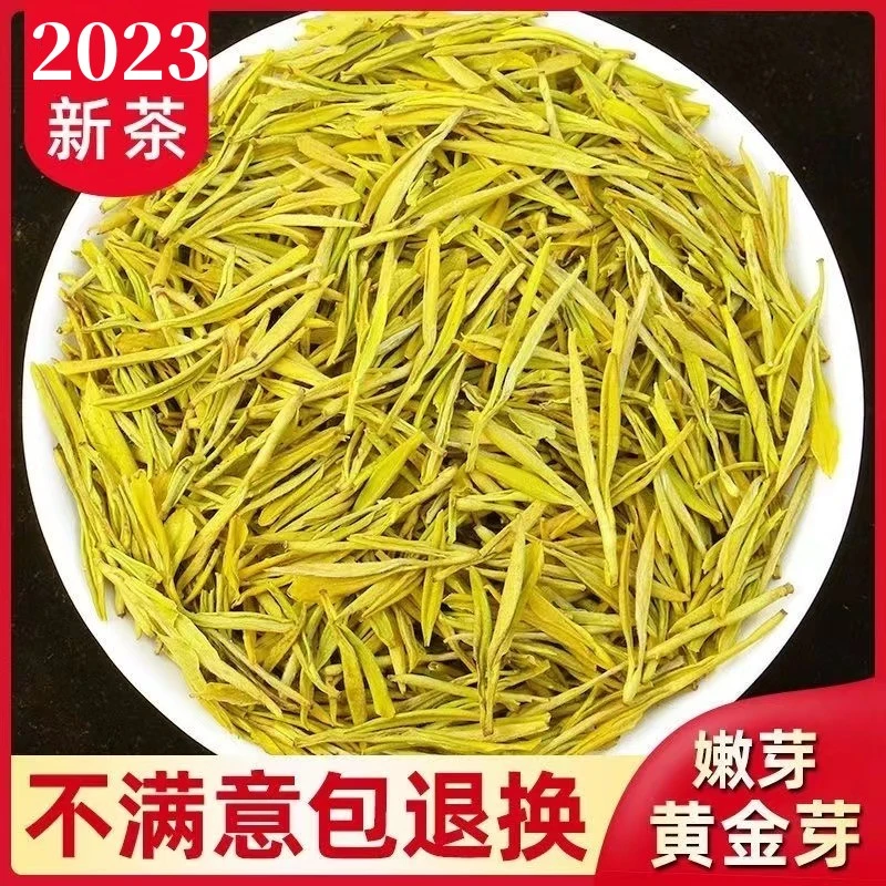 【金寨黄金芽H3】茶叶2025新茶黄金芽雨前滋味鲜嫩好茶