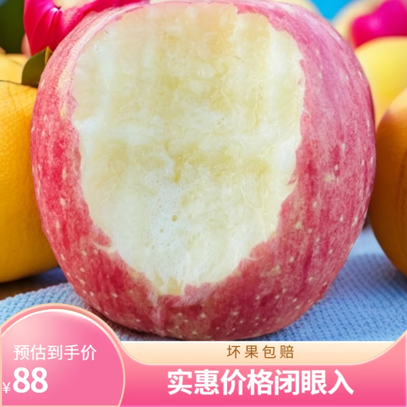 宜川苹果红富士中果