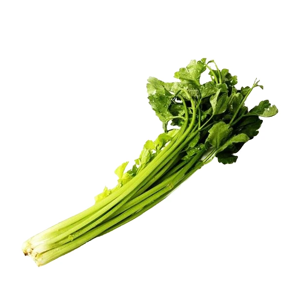 小香芹1200g