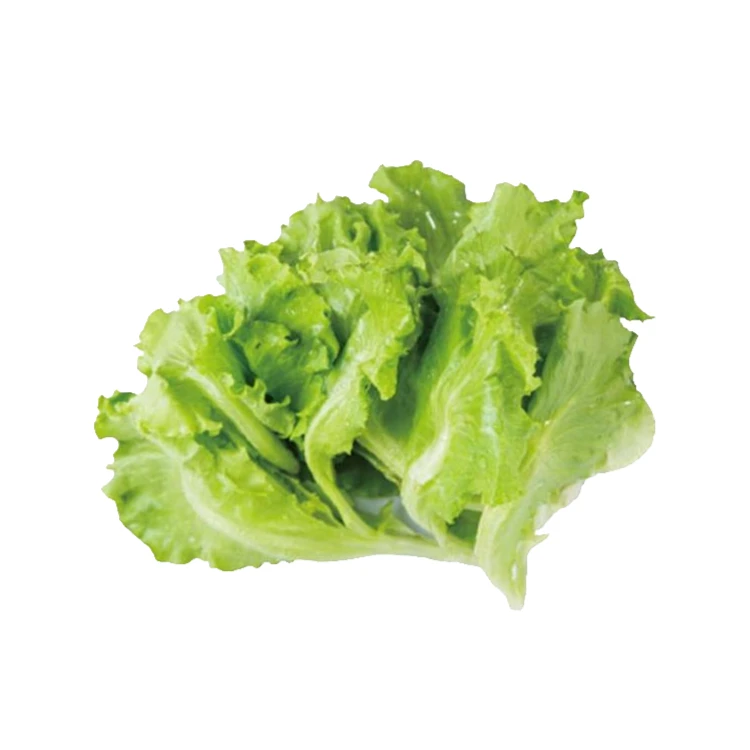 新鲜生菜500g
