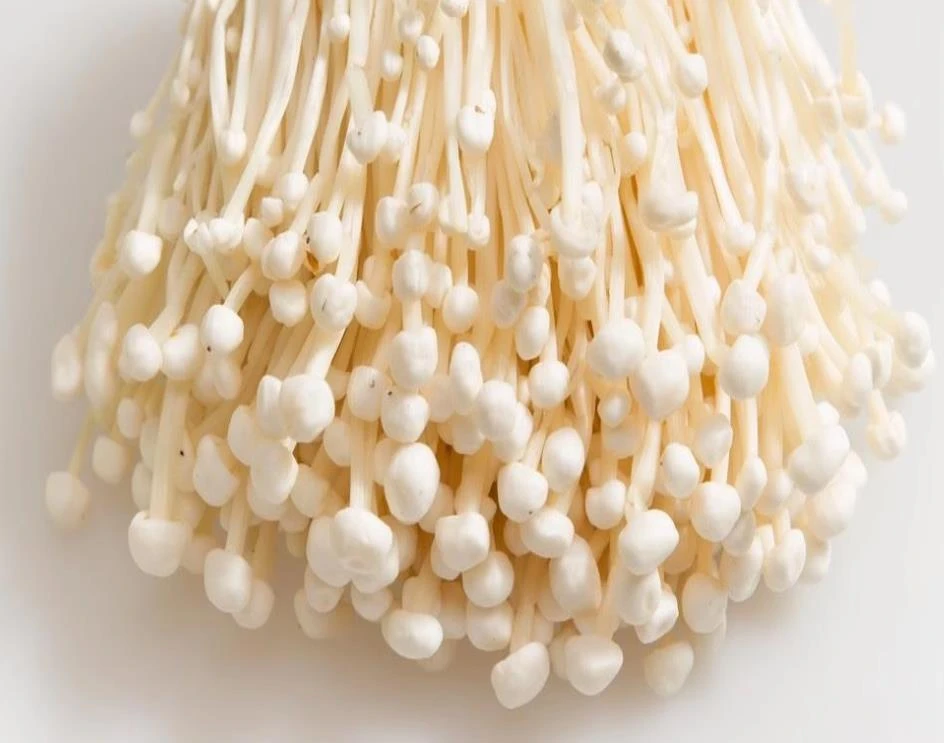 新鲜金针菇一包