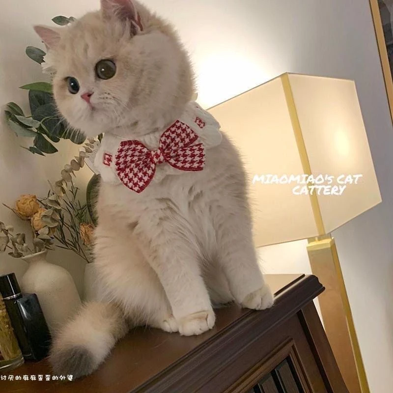 【蝴蝶结款两件拍】针织围脖围兜猫咪围兜猫狗通用围兜设计款逗猫棒