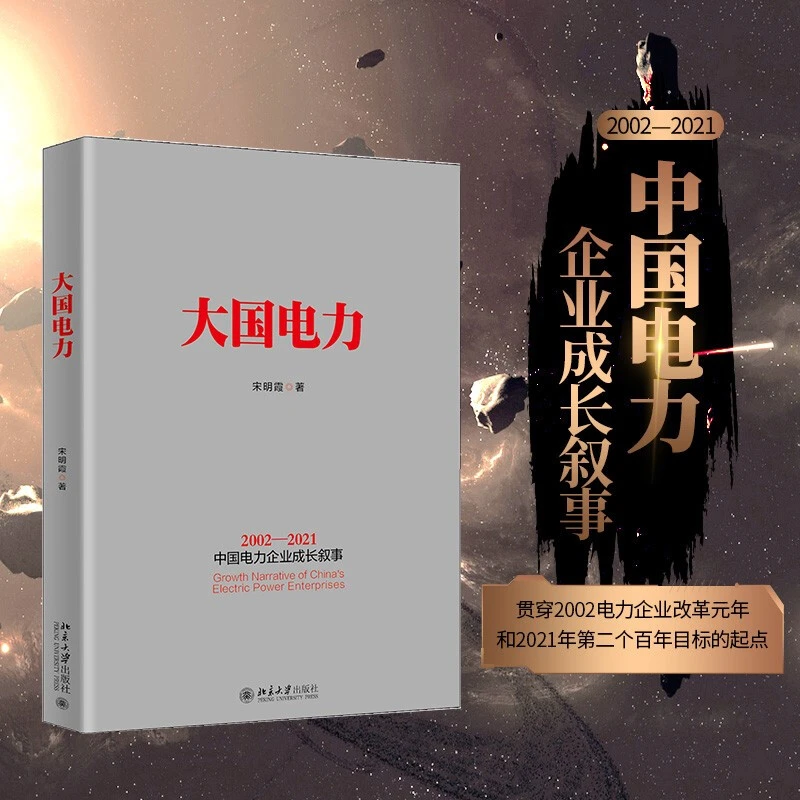 大国电力 企业成长叙事