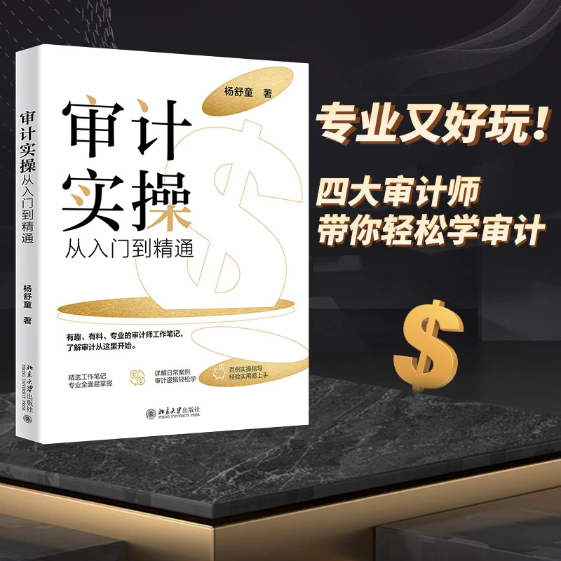 【粉丝专享】审计实操从入门到精通