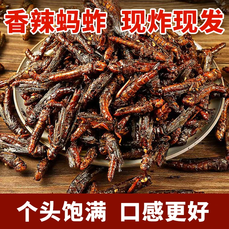 新鲜油炸蚂蚱即食零食去翅膀蝗虫麻辣椒盐小吃昆虫美食蚂蚱新鲜