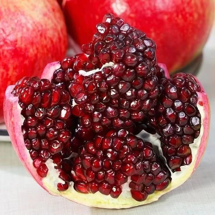 石榴树苗突尼斯软籽石榴当年结果盆栽地栽南北方种植无籽耐寒包活