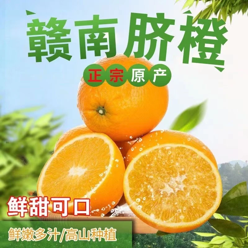 【首单立减】橙子赣南脐橙薄皮当季新鲜水果爆汁多汁细腻5/10斤鲜甜