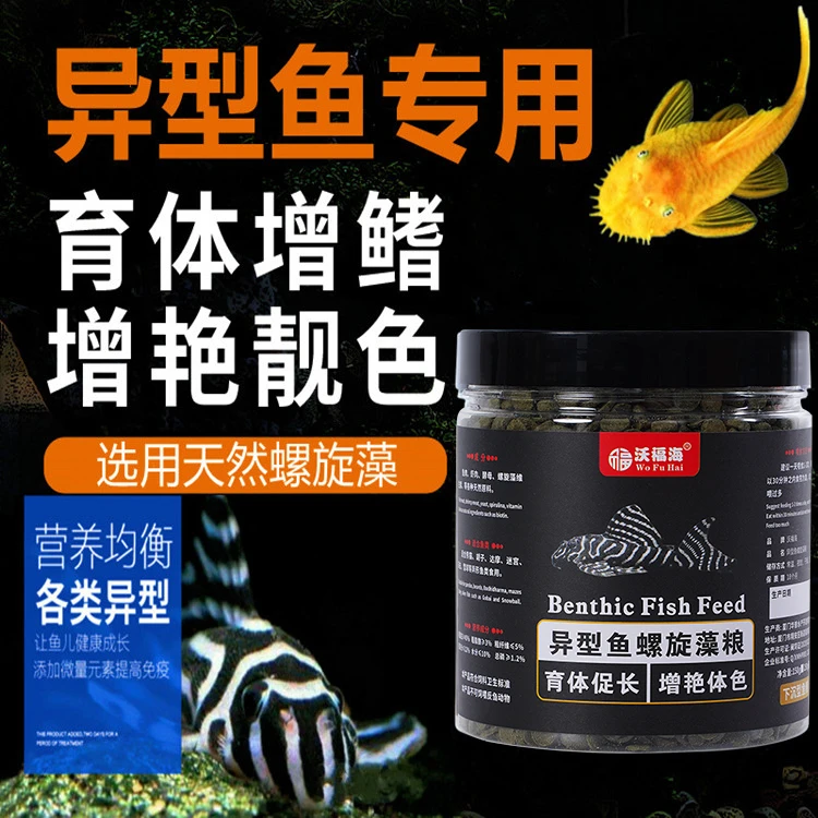 异形鱼饲料大帆胡子底栖鱼女王熊猫清道夫专用高蛋白螺旋藻下沉型