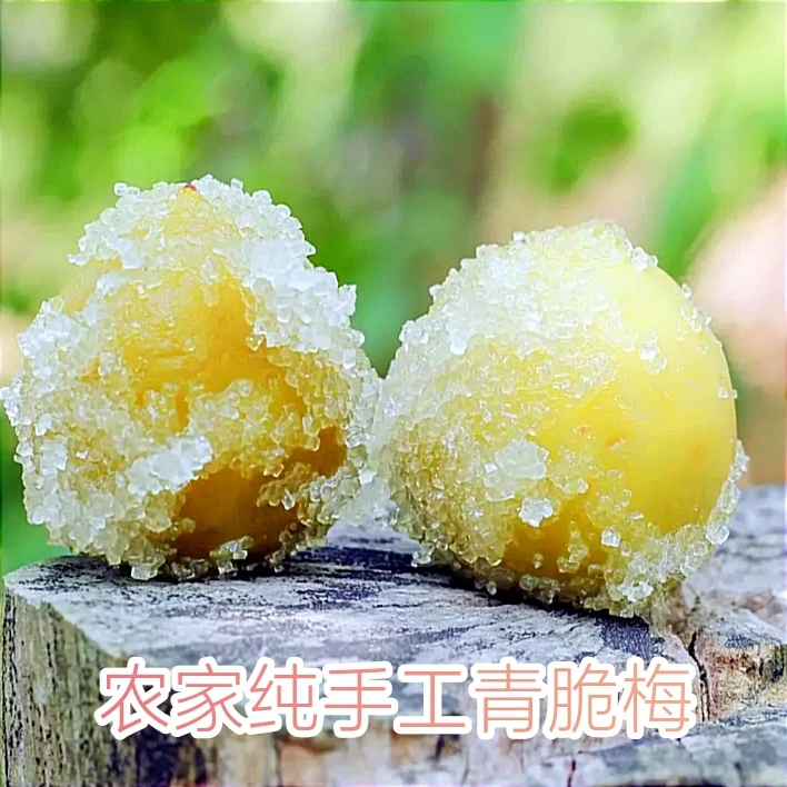 潮汕普宁特产网红青脆梅手工无添加酸甜脆青梅解腻青竹梅全国包邮