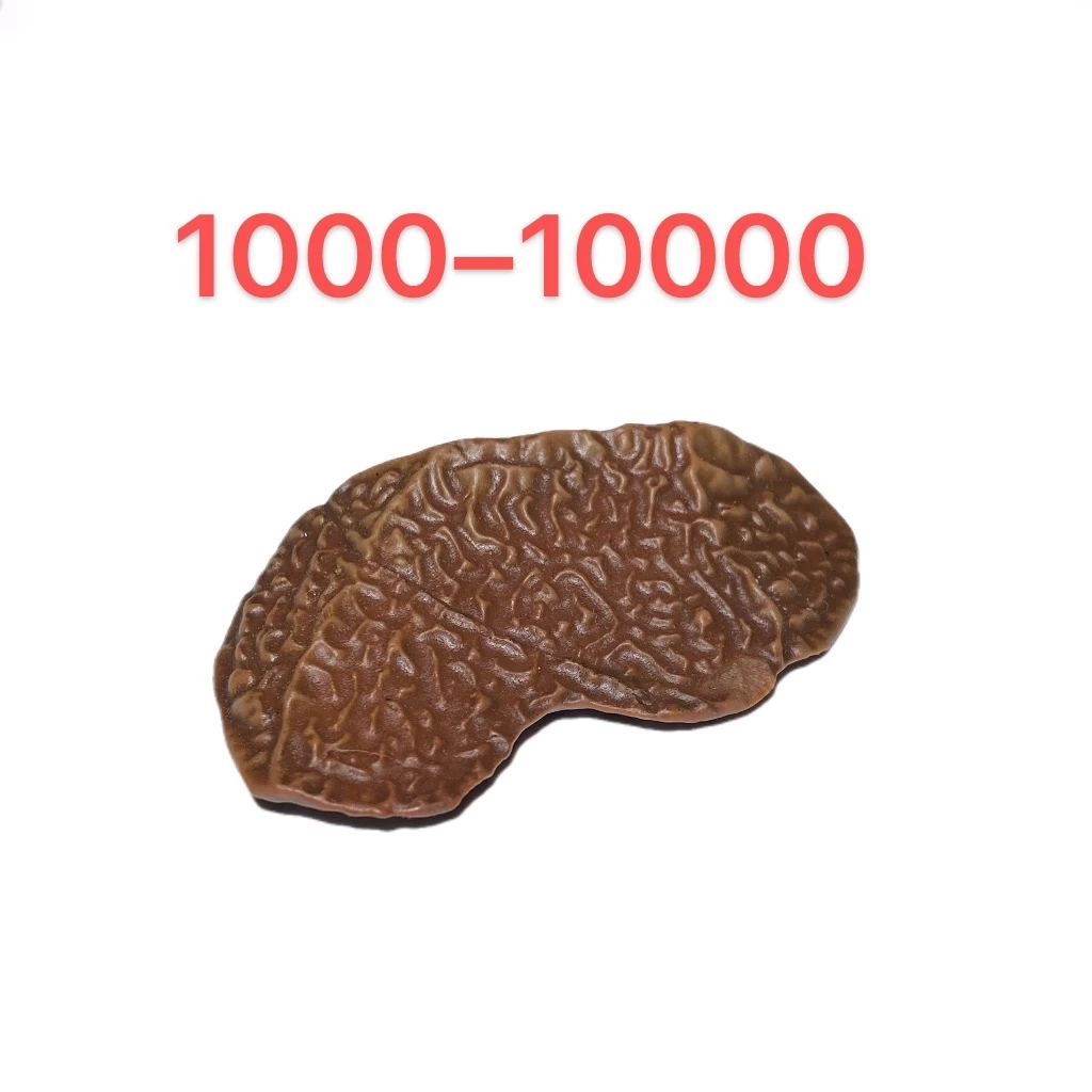 阿拉善奇石戈壁石沙漠漆摆件