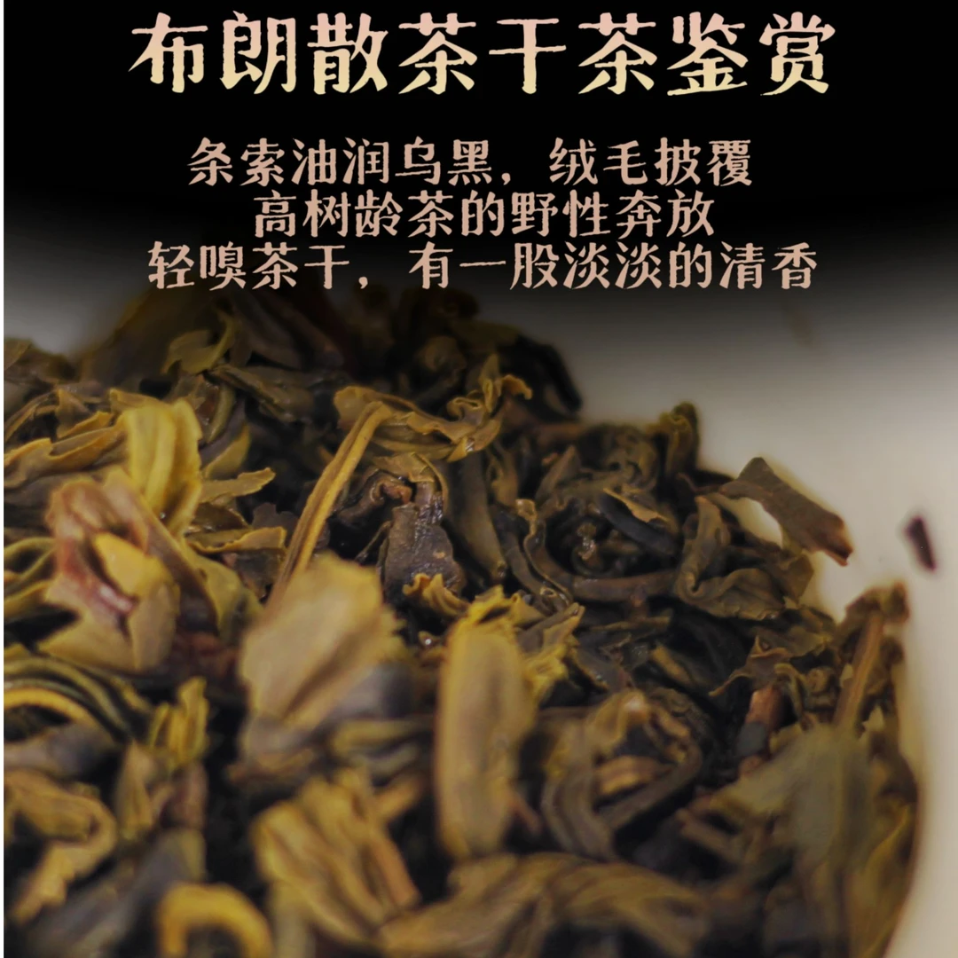 中宏印布朗山生普手工孔雀原产地原始森林生态茶优品普洱茶鲜爽