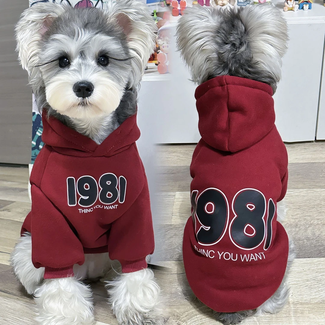 狗狗衣服狗狗冬季衣服狗狗衣服狗狗冬季保暖防掉毛比熊雪纳瑞泰迪