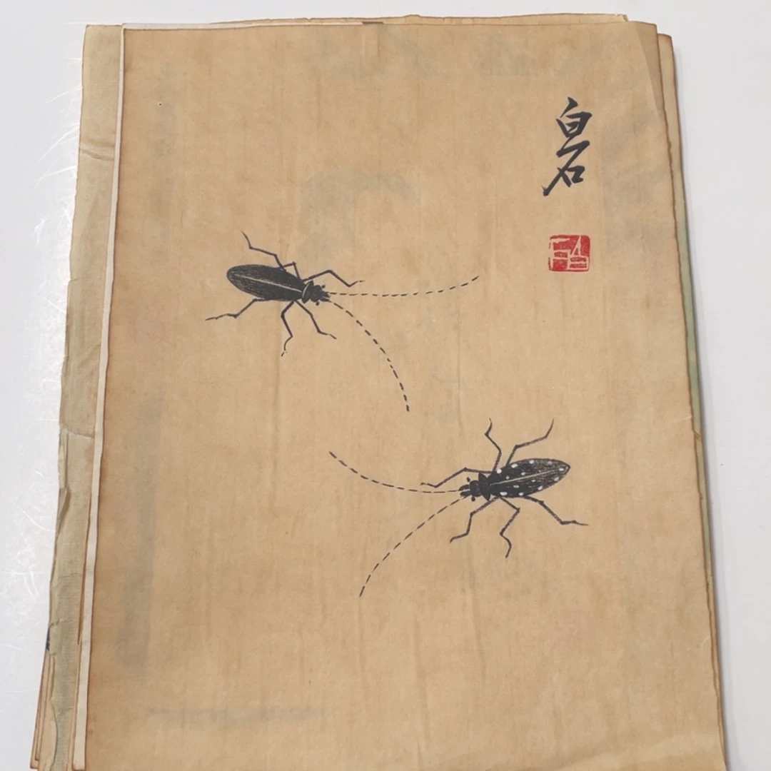 【闪购商品】绘画G***H