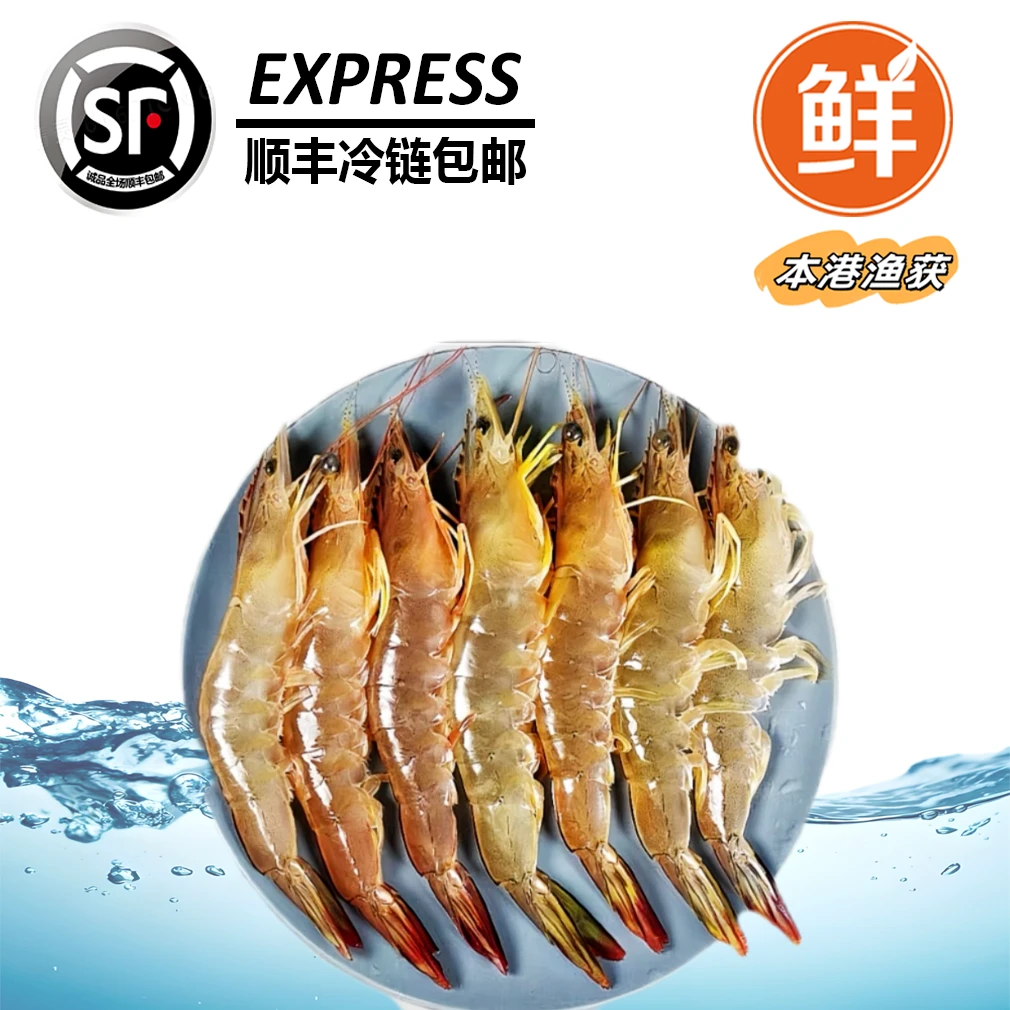 惠来神前资深港浅海围网优质大白虾/白刺虾【5盒】鲜汁甜脆
