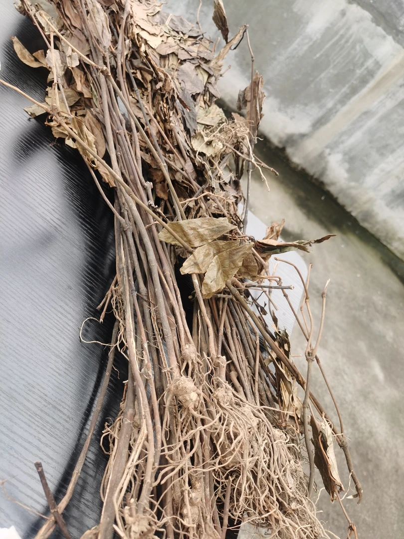 云南滇西优选 山货土特产消，炎，大，王