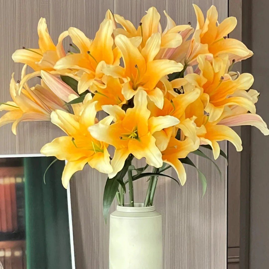 【源头优选】晚霞香水百合 任意2单以上包邮 发货后不支持退款