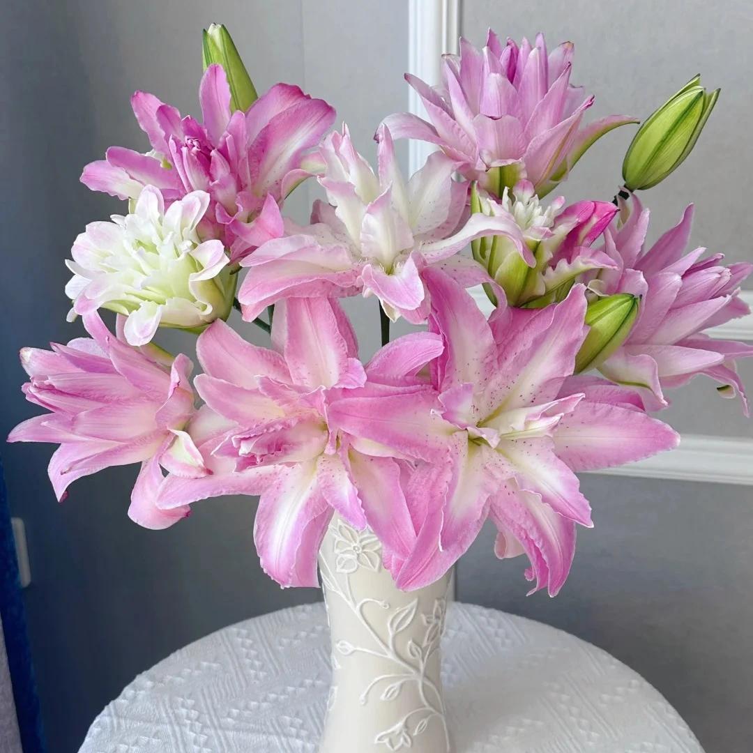 【源头优选】水蜜桃重瓣百合 任意2单鲜花包邮 发货后不支持退款