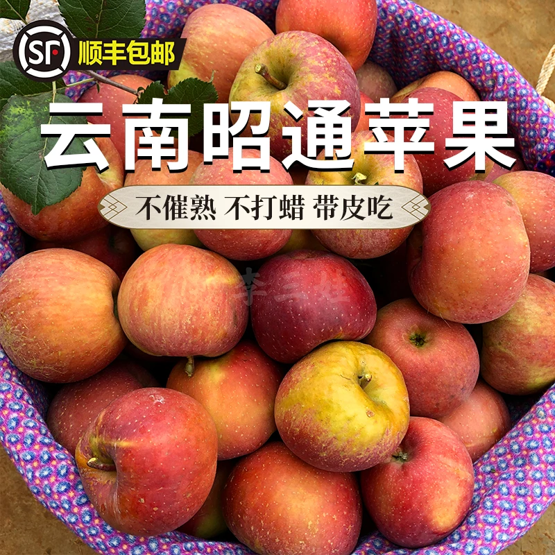 【顺丰包邮 】云南昭通丑苹果糖心红富士新鲜现摘现发