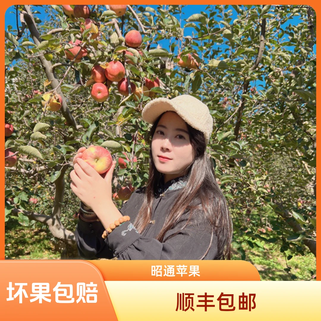 【晴书推荐 坏果包赔】顺丰包邮云南昭通冰糖心红富士丑苹果4斤/5斤
