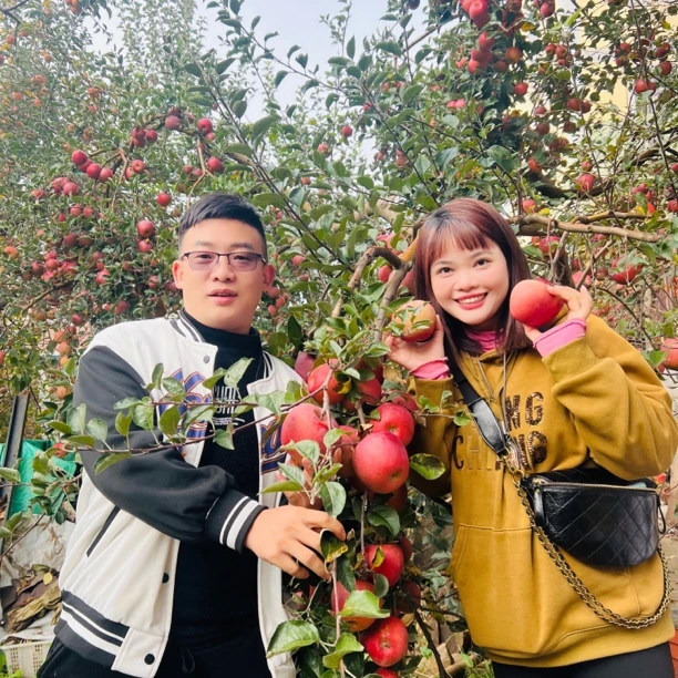 【云秀夫妇】云南昭通丑苹果现摘现发（大果、大大果）5市/8.5斤包邮