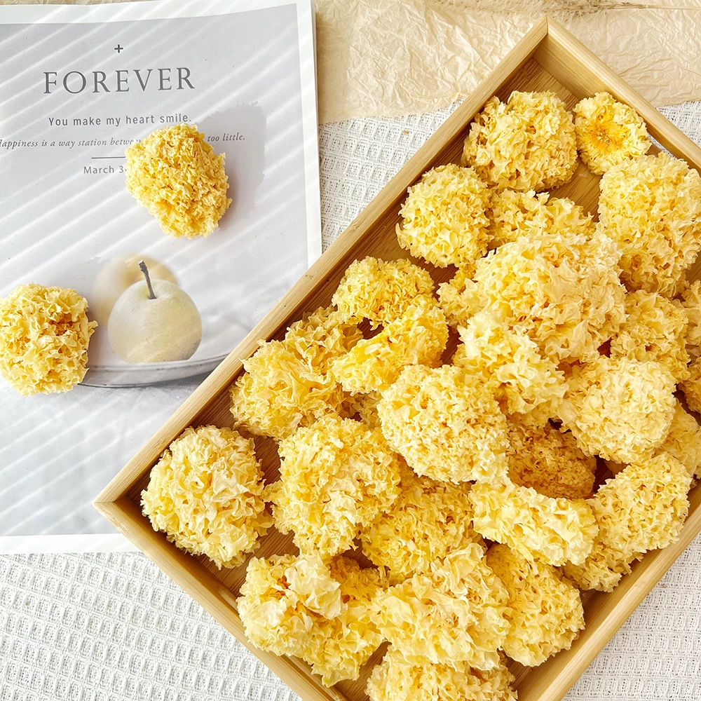 精选椴木小银耳新货野生糯耳羹出胶雪耳古田干货白木耳无硫丑耳