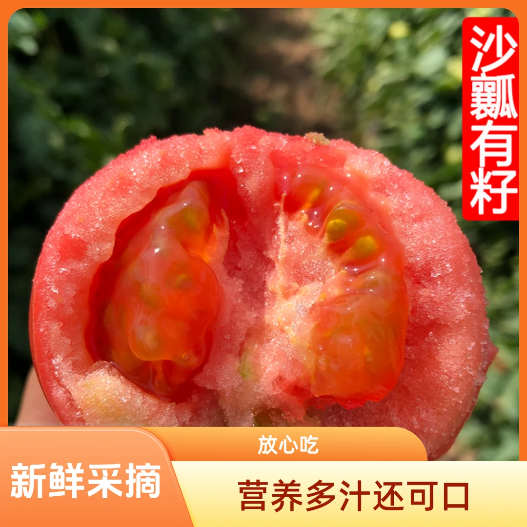 千农桃李宁夏西红柿生吃酸甜多汁露天自然熟老品种草莓心番茄沙瓤