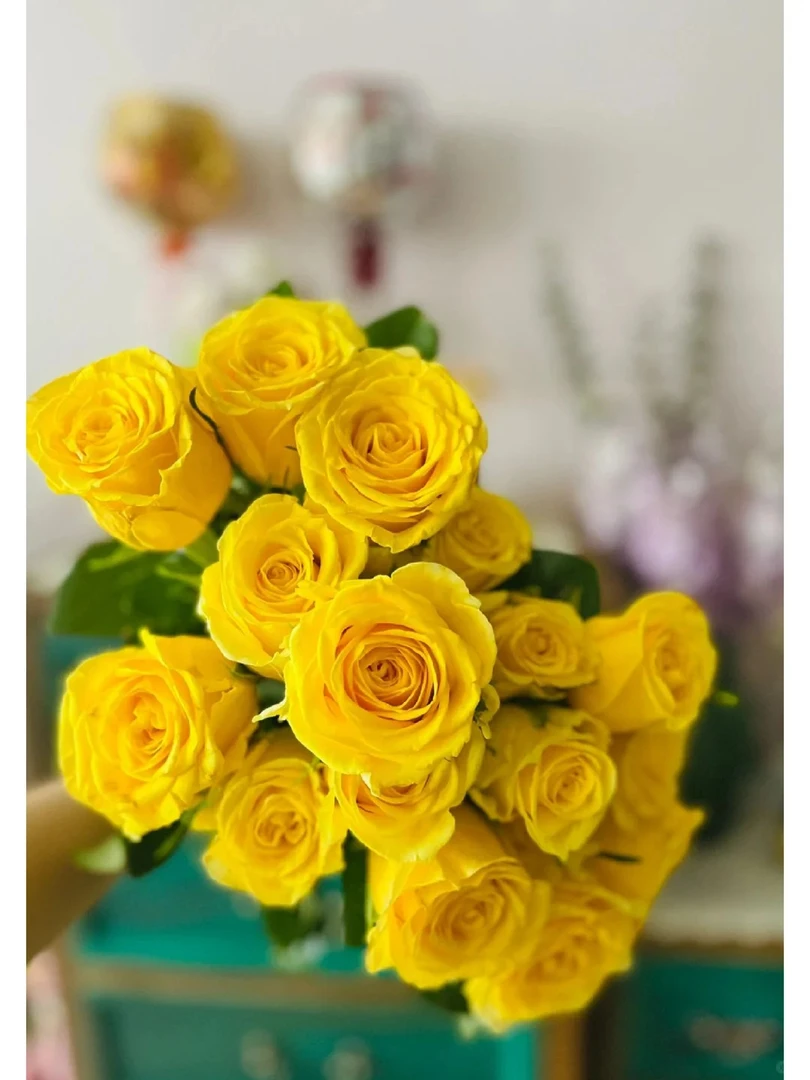 【金枝玉叶玫瑰】斗南鲜花云南直发玫瑰鲜花两单顺丰包邮