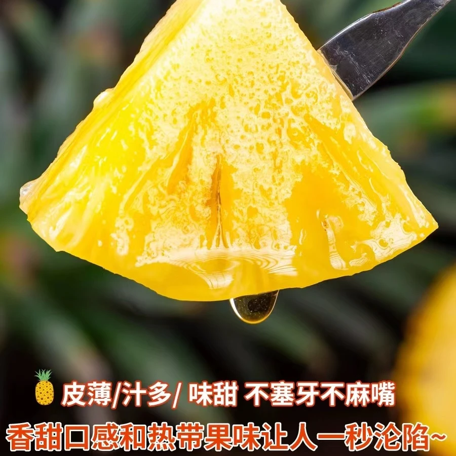 金钻凤梨（果味芳香 酸甜 多汁 纤维少） 顺丰全国包邮 10斤装
