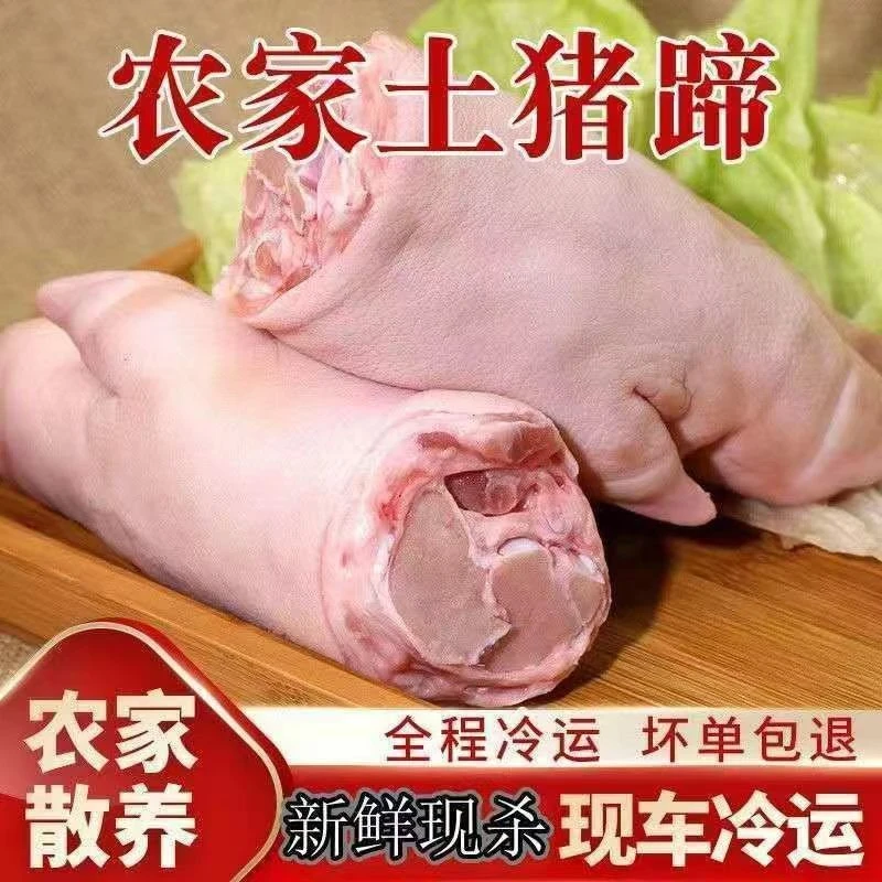 农家新鲜现杀土猪蹄整只前蹄散养带筋猪脚猪手蹄子猪爪批发原切