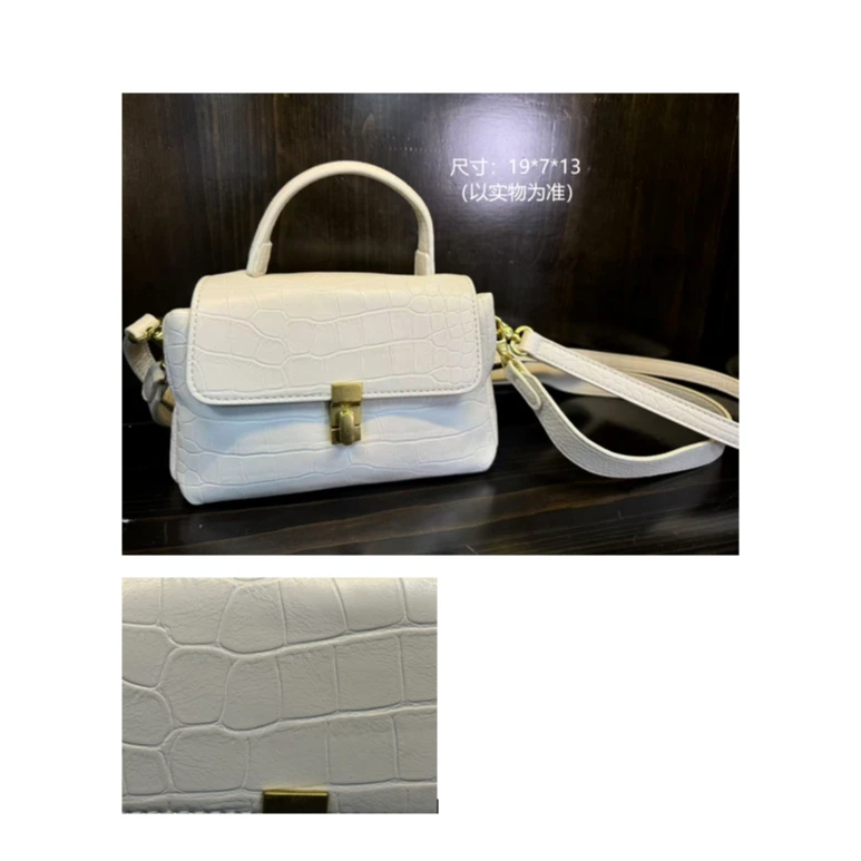 Swellbeing 2042 轻奢高级豆腐时尚女包小号