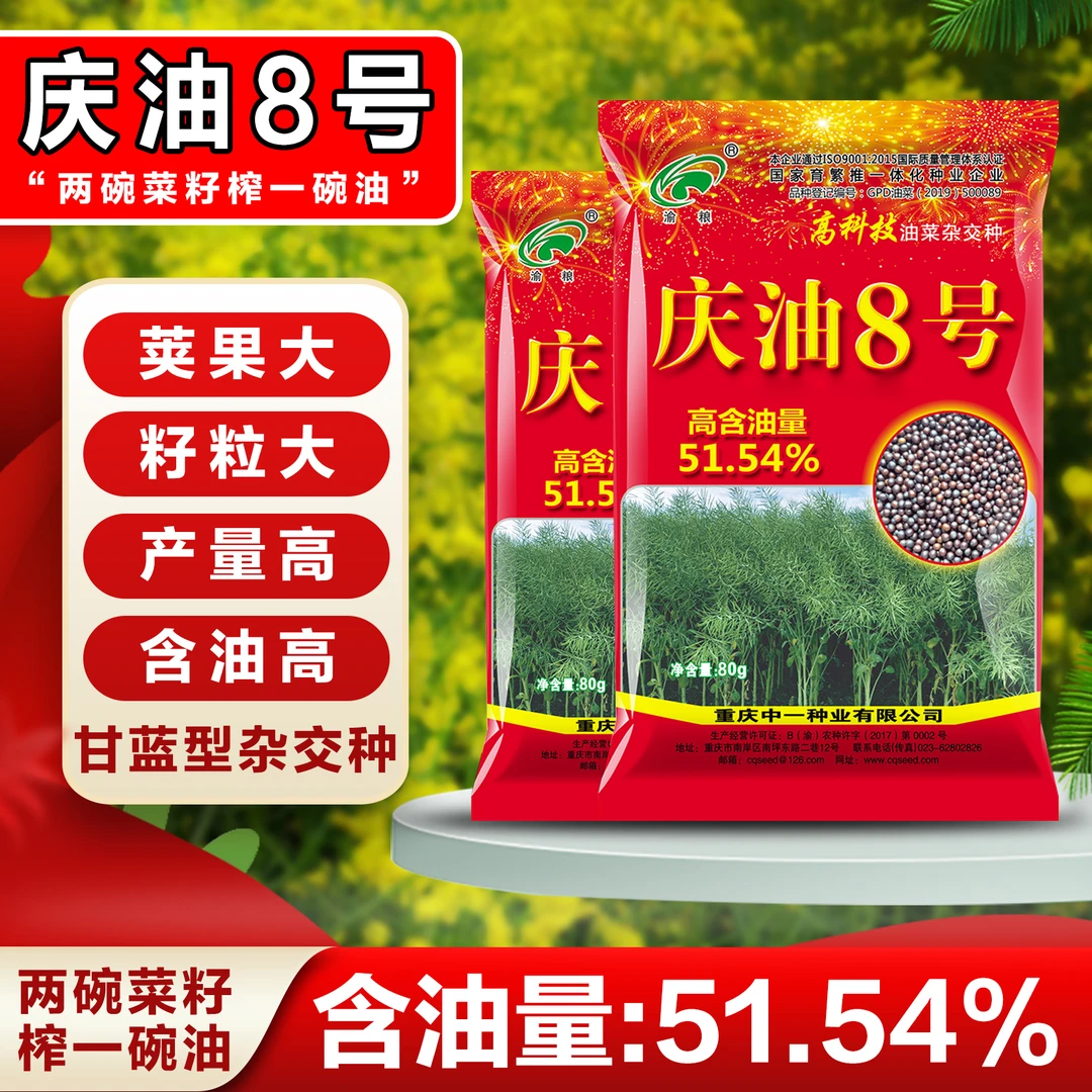 庆油8号庆油3号油菜品种高产高油抗病抗寒抗倒抗裂荚杂交种产量高