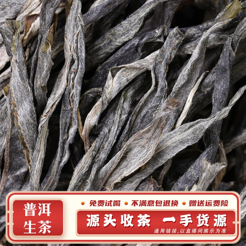 327号 100g 2023年 懂过古树生散茶 带茶样 SJ818