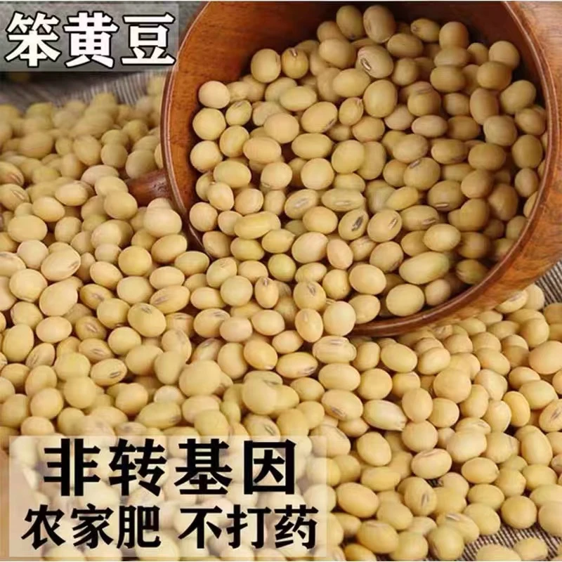 贵州遵义农家新货小黄豆打豆浆发豆芽磨豆腐优选