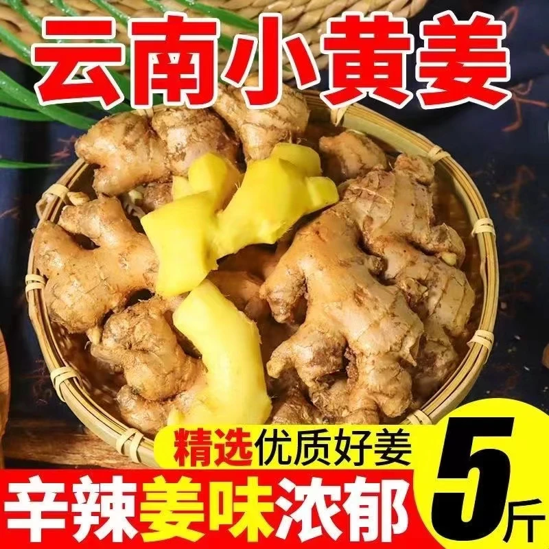【优质好姜】精选山地小黄姜云南老姜月子姜新鲜多汁辛辣调味养泡脚