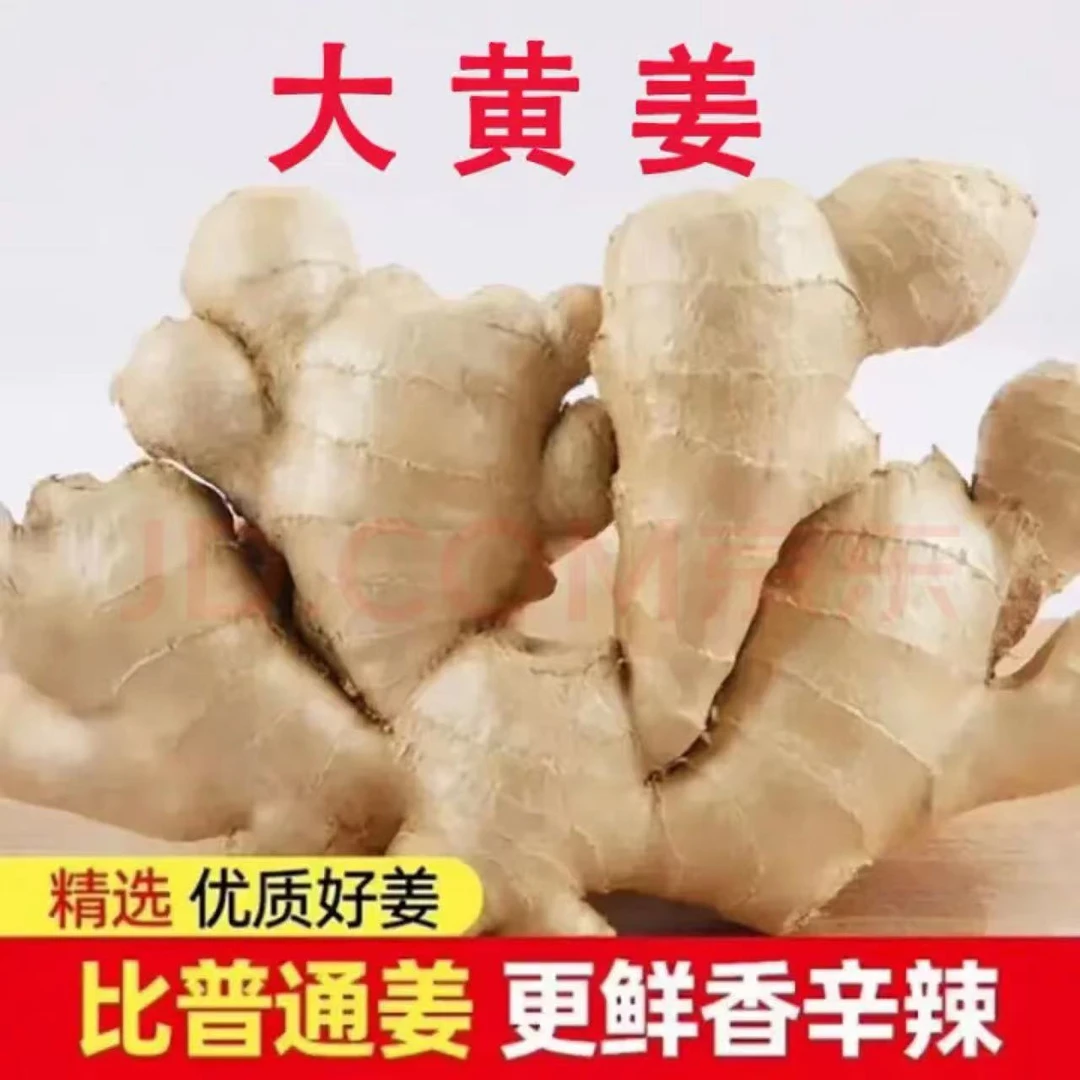 山东大黄姜特价促销干净无土生姜现挖发货一斤包邮炒菜食用产地直