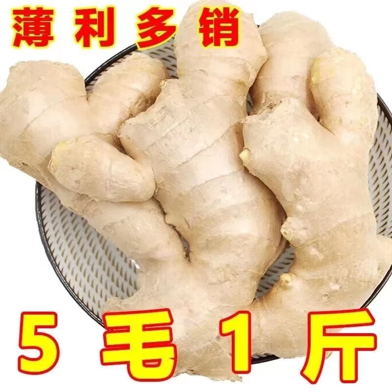 【万人疯抢】山东水洗干净大黄姜生姜香辣浓郁小黄姜农家新鲜现挖姜