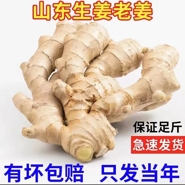 风干山东大姜老姜水洗干净大黄姜生姜香辣浓郁小黄姜农家新鲜现挖
