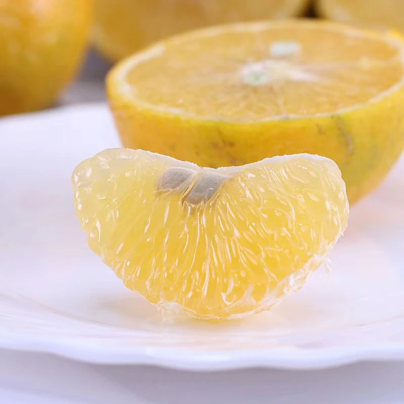 广西武鸣皇帝柑甜蜜多汁5/9斤新鲜采摘包邮