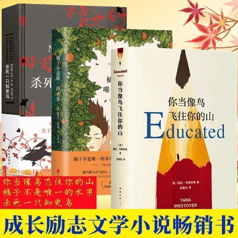 你当像鸟飞往你的山橘子不是唯一的水果杀死一只知更鸟现代文学书