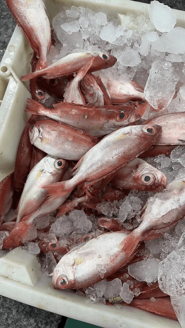 祥芝码头红目连，顺丰发货