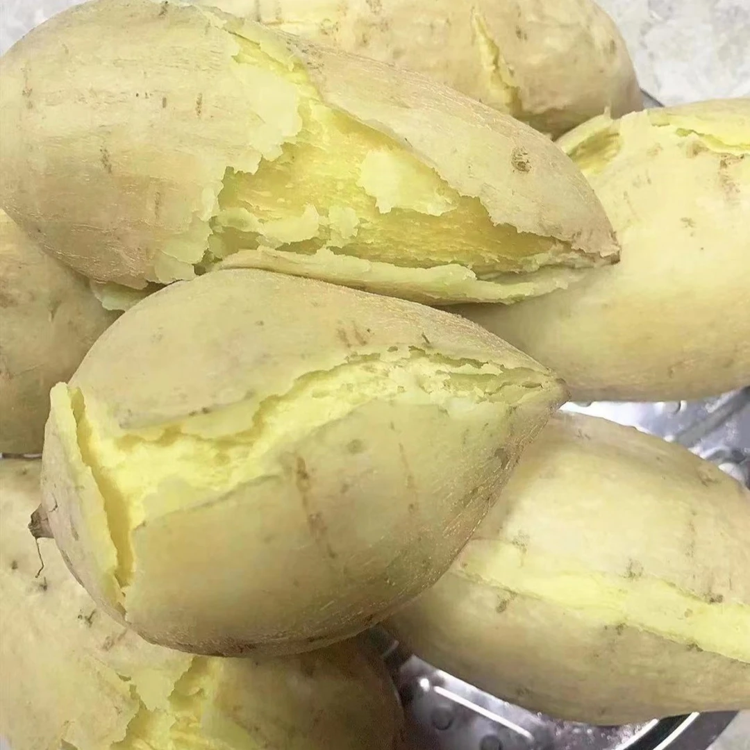 揭阳农民白皮黄心番薯甜糯鸡蛋黄板栗薯红薯新鲜沙地现挖地瓜