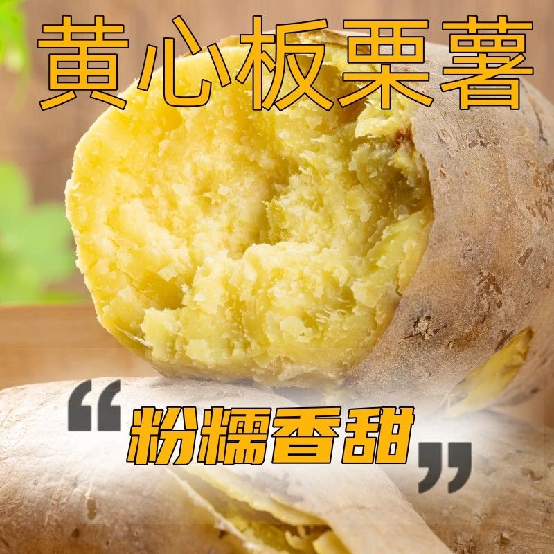广东潮汕农家新鲜自家种白皮黄肉番薯干粉糯板栗红薯香甜地瓜