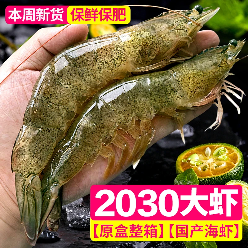 2030大虾4斤 青岛海虾国产对虾白虾明虾青虾海洋鲜活单只冷冻新鲜