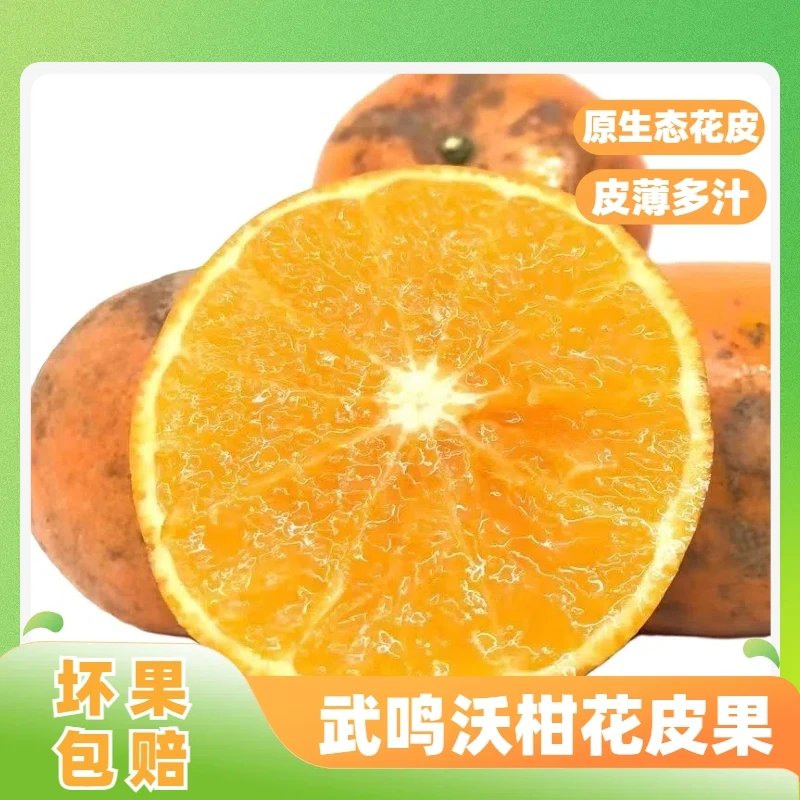 【3斤试吃】广西武鸣沃柑花皮果 超甜应季新鲜水果丑柑橘脏脏柑