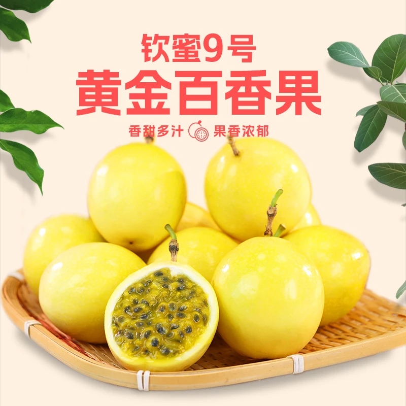 【16个果】海南钦蜜9号黄金百香果新鲜现摘50-60g 赠开果器坏果包赔