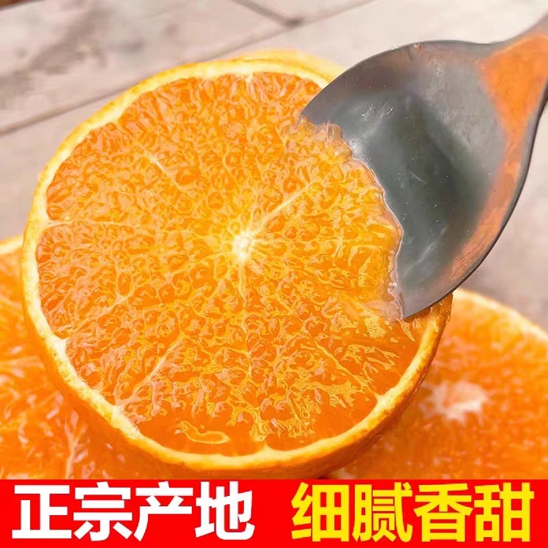 爱媛38号果冻橙香甜多汁3/5/8斤现摘果园鲜果包邮爆汁天然新鲜
